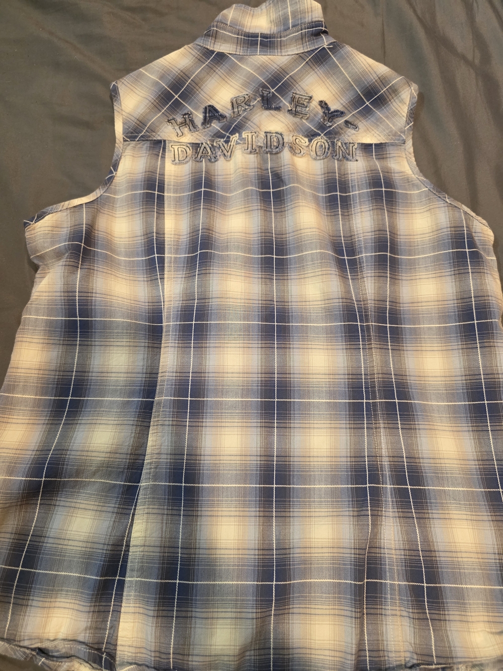 Harley-Davidson Blue and Cream Plaid Sleeveless Button-Up Shirt - Picture 3 of 3